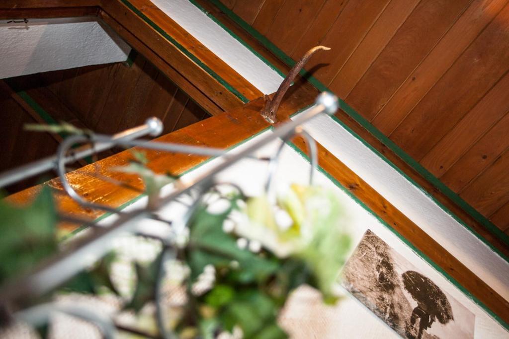 Chalet Appartement Alpenherz ザールバッハ・ヒンターグレム 部屋 写真